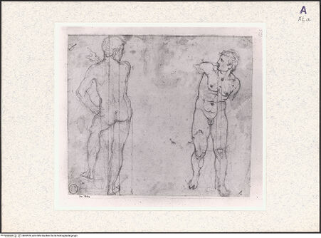 Vorderseite von bh362076_recto