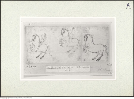 Vorderseite von bh362084_recto