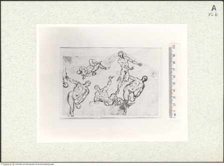 Vorderseite von bh362088_recto