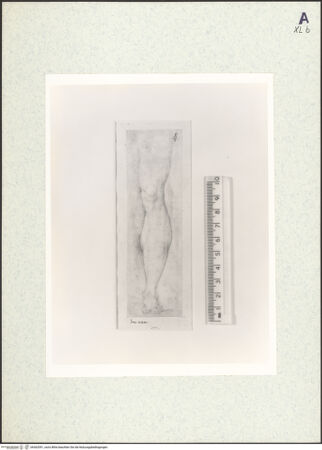 Vorderseite von bh362091_recto