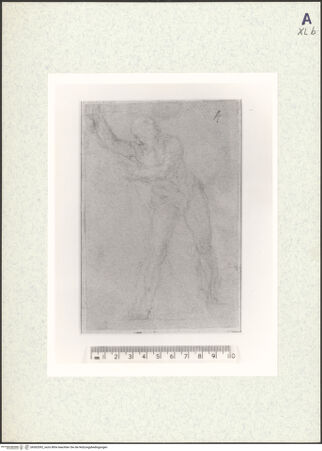 Vorderseite von bh362092_recto