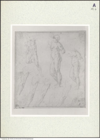 Vorderseite von bh362096_recto