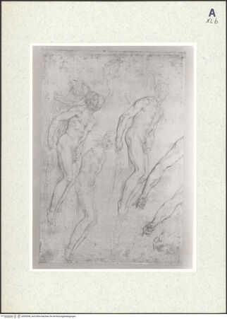 Vorderseite von bh362098_recto