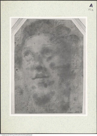 Vorderseite von bh362110_recto