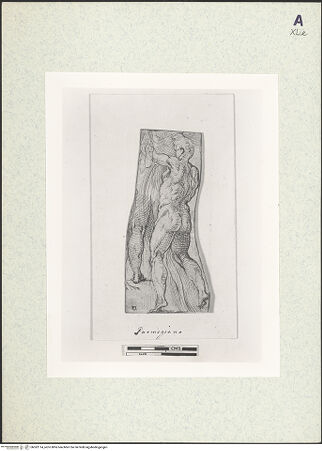 Vorderseite von bh362114_recto