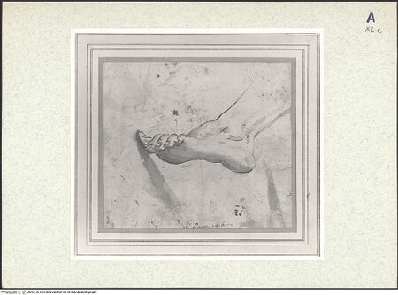 Vorderseite von bh362120_recto