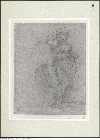 Vorderseite von bh362124_recto