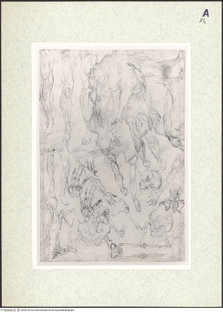 Vorderseite von bh362126_recto