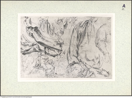 Vorderseite von bh362127_recto