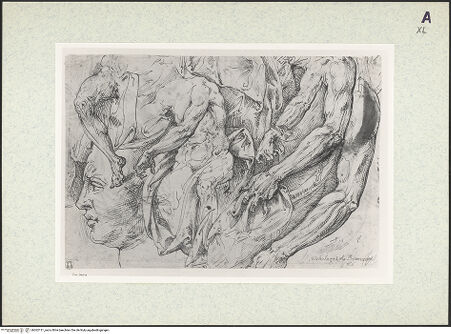 Vorderseite von bh362131_recto