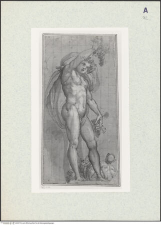 Vorderseite von bh362133_recto