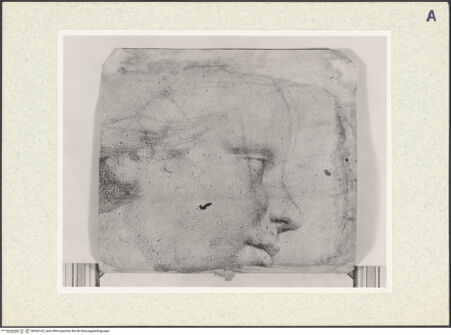 Vorderseite von bh362162_recto