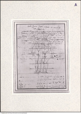 Vorderseite von bh362183_recto