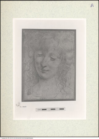 Vorderseite von bh362199_recto