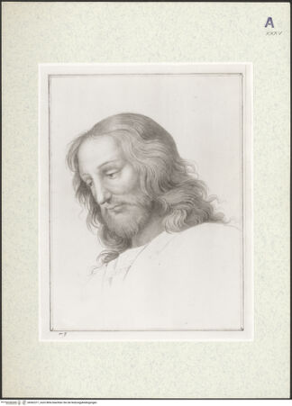 Vorderseite von bh362371_recto