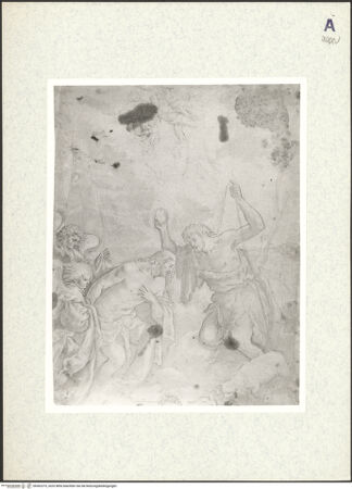 Vorderseite von bh362375_recto