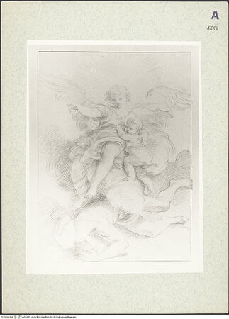 Vorderseite von bh362497_recto