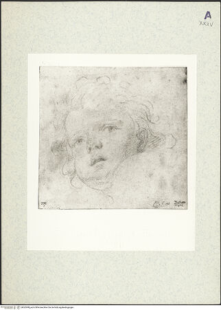 Vorderseite von bh362498_recto