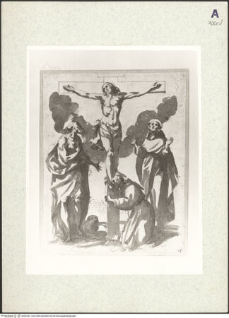 Vorderseite von bh362507_recto