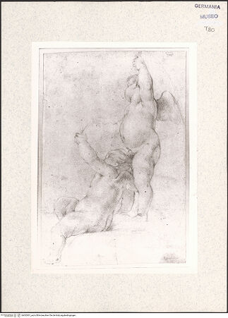 Vorderseite von bh362931_recto