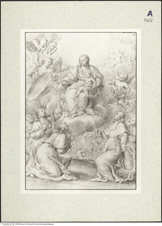 Vorderseite von bh362966_recto