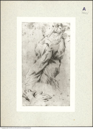 Vorderseite von bh362996_recto