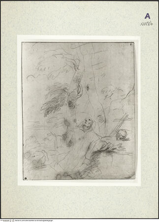 Vorderseite von bh363014_recto