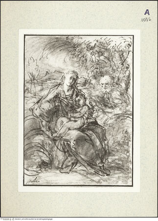 Vorderseite von bh363031_recto