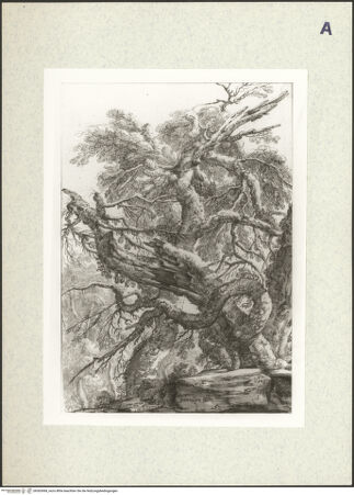 Vorderseite von bh363068_recto