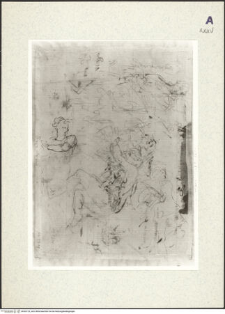 Vorderseite von bh363125_recto