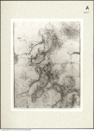 Vorderseite von bh363127_recto