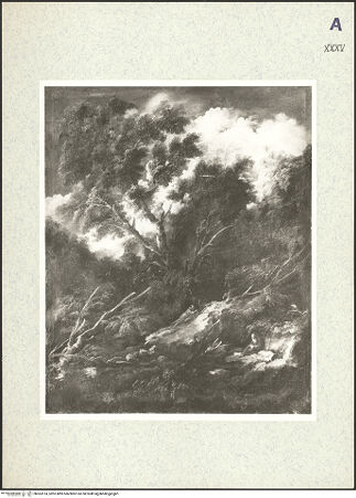 Vorderseite von bh363153_recto