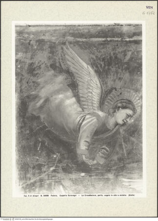 Vorderseite von bh363182_recto