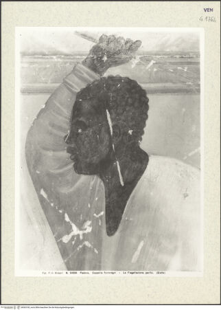 Vorderseite von bh363183_recto