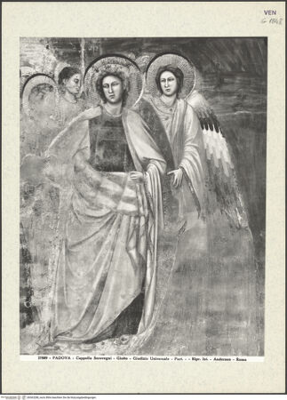 Vorderseite von bh363288_recto