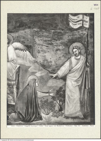 Vorderseite von bh363292_recto