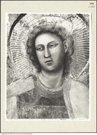 Vorderseite von bh363303_recto