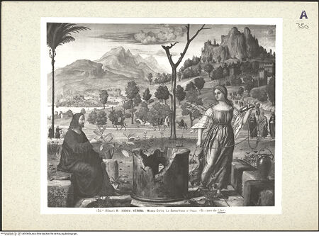 Vorderseite von bh363666_recto