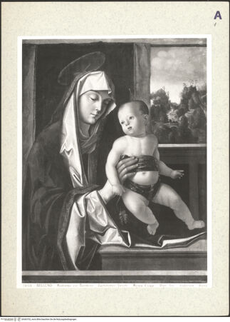 Vorderseite von bh363702_recto