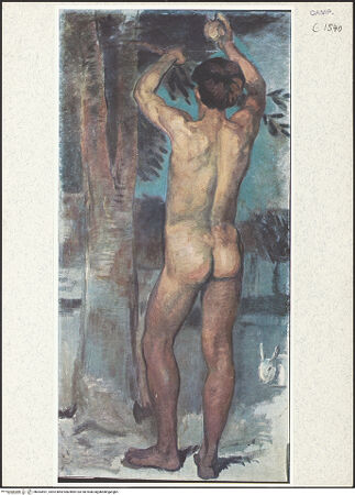 Vorderseite von unbekannt [https://www.deutsche-digitale-bibliothek.de/content/lizenzen/rv-ez/] Studie zum Orangengarten - Neapel, Stazione Zoologica - Gesamtansicht, bh363901_recto. Foto: Fietz, Helga.