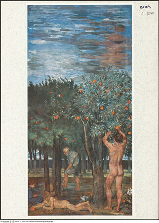 Vorderseite von unbekannt [https://www.deutsche-digitale-bibliothek.de/content/lizenzen/rv-ez/] Orangengarten - Gesamtansicht, bh363911_recto. Foto: Fietz, Helga.