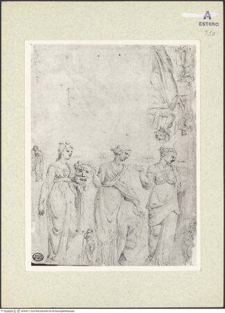 Vorderseite von bh363917_recto