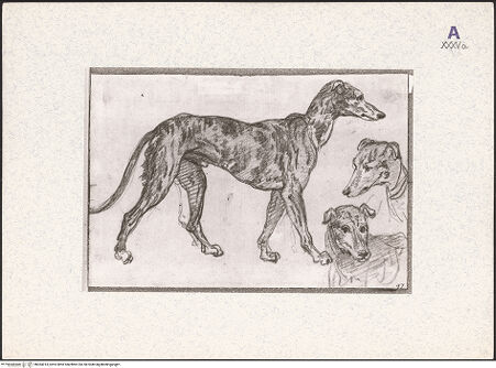 Vorderseite von bh364014_recto