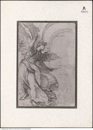 Vorderseite von bh364015_recto