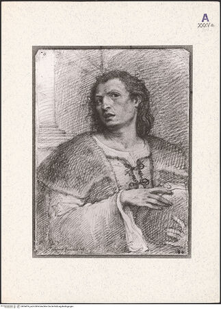 Vorderseite von bh364016_recto