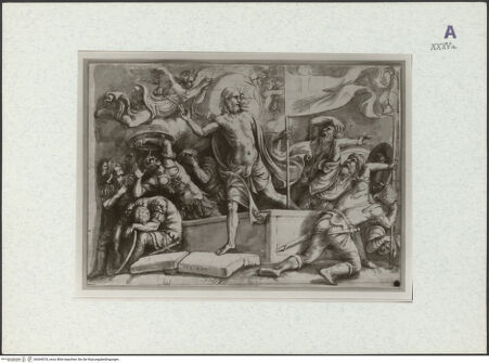 Vorderseite von bh364018_recto