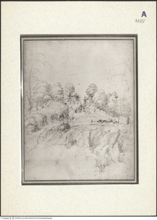 Vorderseite von bh364025_recto