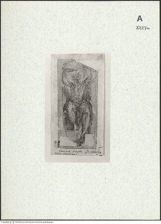 Vorderseite von bh364036_recto