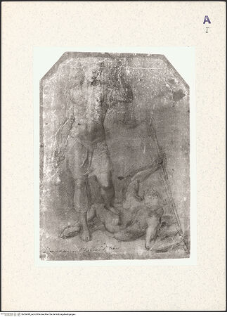 Vorderseite von bh364049_recto