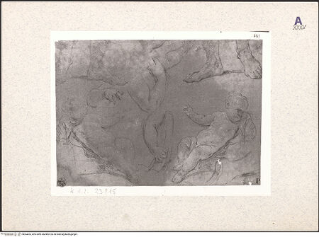 Vorderseite von bh364053_recto